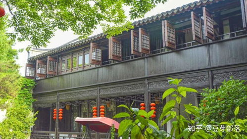 旅行Plog 風起蘆葦蕩，心動沙家浜